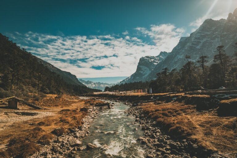 YUMTHANG VALLEY