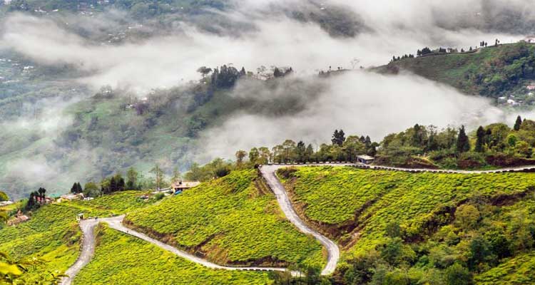 Top Activities to Enjoy During Sikkim Holiday