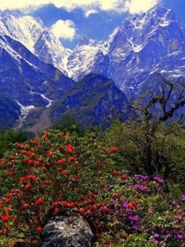 North Sikkim Tour Packages