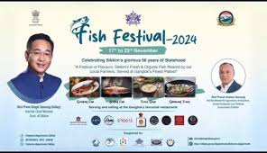 fish festival - 17th to 23rd November 2024